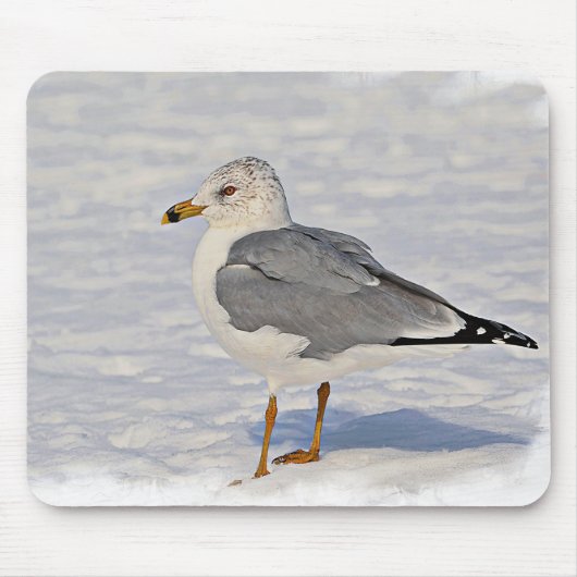 Möwe im Schnee Mousepad (Vorne)