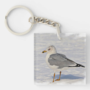 Möwe im Schnee Schlüsselanhänger
