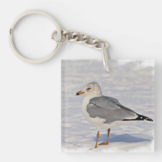 Möwe im Schnee Schlüsselanhänger (Vorderseite)