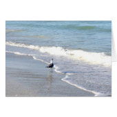 Möwe im Surf (Vorderseite (Horizontal))