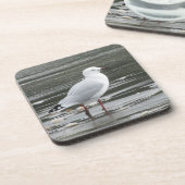 Möwe im Wasser Getränkeuntersetzer (Linke Seite)