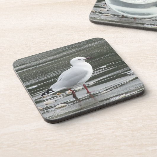 Möwe im Wasser Getränkeuntersetzer (Linke Seite)