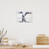 Möwe Krabbenfischerei Foto Poster (Küche)