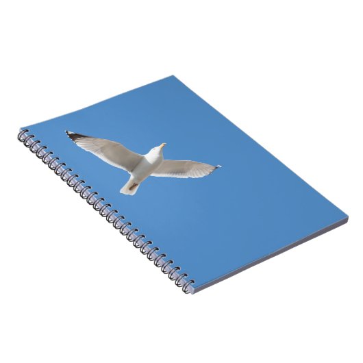 Möwe Notizblock (Rechte Seite)