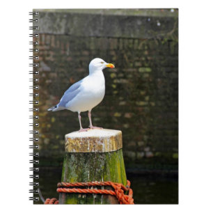 Möwe Notizblock