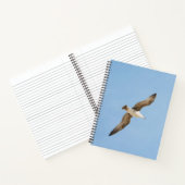 Möwe Notizbuch (Innenseite)