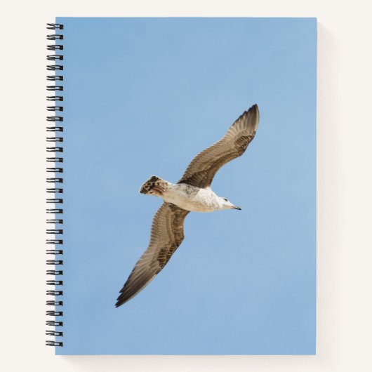 Möwe Notizbuch (Vorderseite)