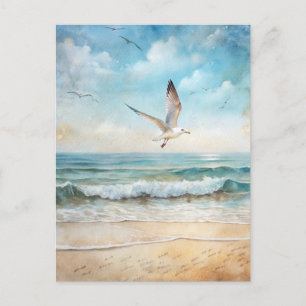 Möwe Ozean Vogel Strand Küste  Postkarte