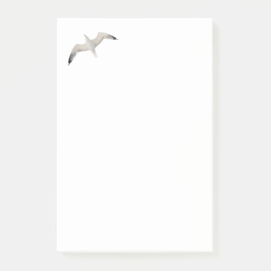 Möwe Post-it Klebezettel (Vorderseite)
