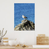 Möwe Poster (Küche)