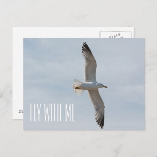 Möwe Postkarte (Vorne/Hinten)