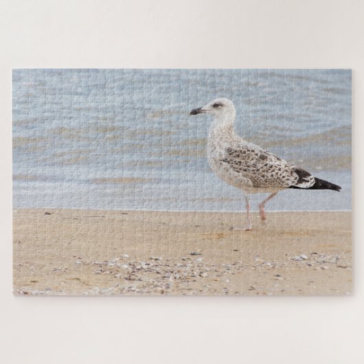 Möwe Puzzle (Horizontal)
