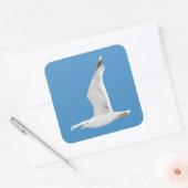 Möwe Quadratischer Aufkleber (Umschlag)