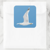 Möwe Quadratischer Aufkleber (Tasche)