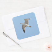 Möwe Quadratischer Aufkleber (Umschlag)