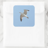 Möwe Quadratischer Aufkleber (Tasche)