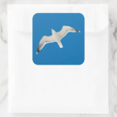 Möwe Quadratischer Aufkleber (Tasche)