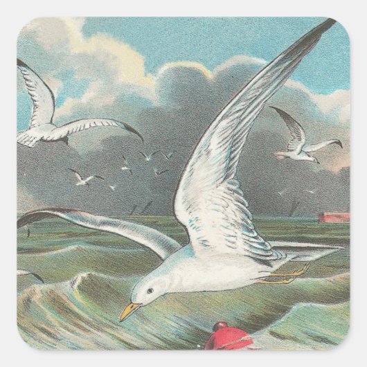 Möwe Quadratischer Aufkleber (Vorderseite)