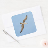 Möwe Quadratischer Aufkleber (Umschlag)