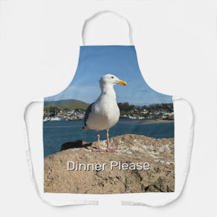 Möwe  schürze