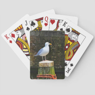 Möwe Spielkarten