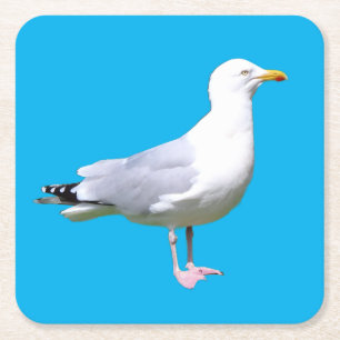 Möwe Stehend Minimal Himmelblauer Hintergrund Küst Rechteckiger Pappuntersetzer