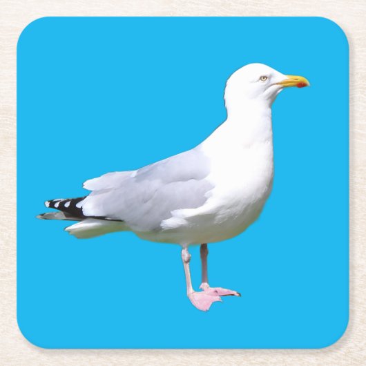 Möwe Stehend Minimal Himmelblauer Hintergrund Küst Rechteckiger Pappuntersetzer (Vorderseite)