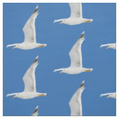 Möwe Stoff (Muster)