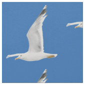 Möwe Stoff (Nahaufnahme)