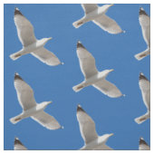 Möwe Stoff (Muster)