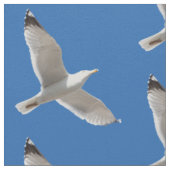 Möwe Stoff (Nahaufnahme)