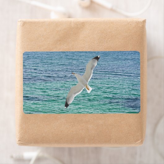 Möwe über dem Meer (Insitu)