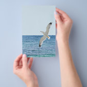 Möwe über dem Meer Flyer (Handgriff)