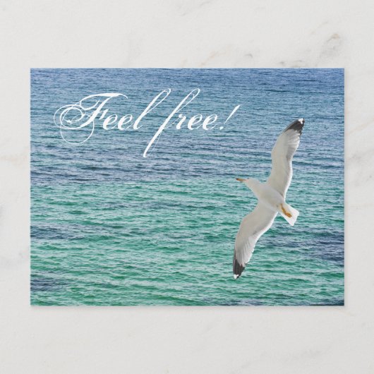 Möwe über dem Meer Postkarte (Vorderseite)