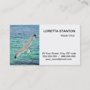 Möwe über dem Meer Visitenkarte