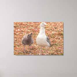 Möwe und Küken Leinwanddruck