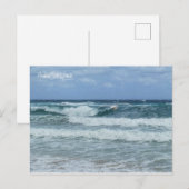 Möwe und Meer Postkarte (Vorne/Hinten)