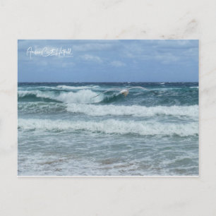 Möwe und Meer Postkarte