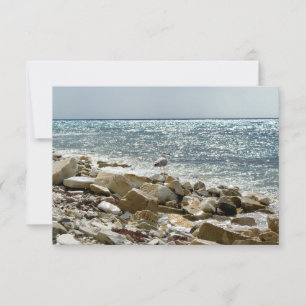 Möwe und Meer RSVP Karte