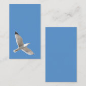 Möwe Visitenkarte (Vorne/Hinten)
