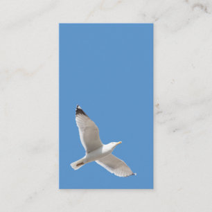 Möwe Visitenkarte