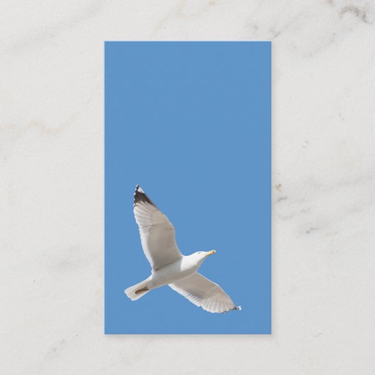 Möwe Visitenkarte (Vorderseite)