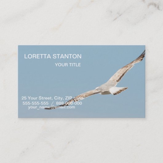 Möwe Visitenkarte (Vorderseite)