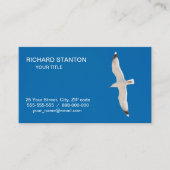 Möwe Visitenkarte (Vorderseite)