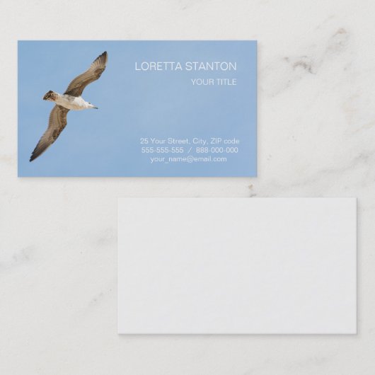 Möwe Visitenkarte (Vorne/Hinten)