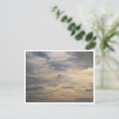 Möwe-Wildtierfotografie Postkarte (Stehend Vorderseite)