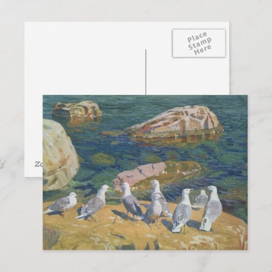 Möwen, 1910 postkarte (Vorne/Hinten)