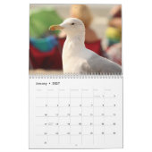 Möwen 2026 kalender (Jan 2027)