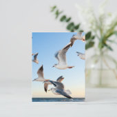 Möwen-3 Postkarte (Stehend Vorderseite)