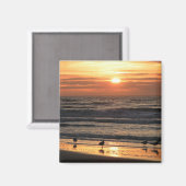 Möwen am Meer bei Sonnenuntergang Magnet (Vorderseite/Rückseite)